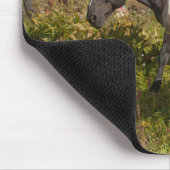 National Park North Cascades Mousepad (Ecke)