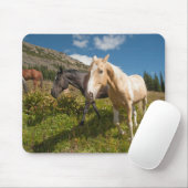 National Park North Cascades Mousepad (Mit Mouse)