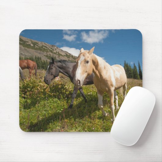 National Park North Cascades Mousepad (Mit Mouse)