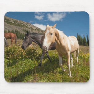 National Park North Cascades Mousepad