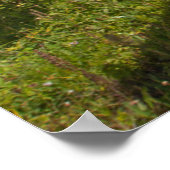 National Park North Cascades Poster (Ecke)