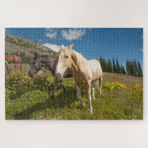 National Park North Cascades Puzzle