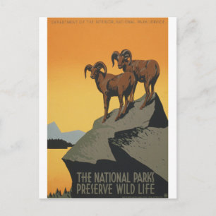 National Parks - Schutz des Wild Life Postkarte