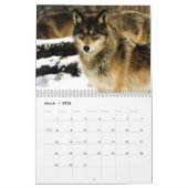 National Parks Wildlife Fotokalender Kalender (Mär 2026)