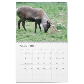 National Parks Wildlife Fotokalender Kalender (Feb 2026)