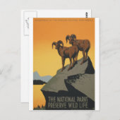 National Parks - Wildlife Preserve Postkarte (Vorne/Hinten)
