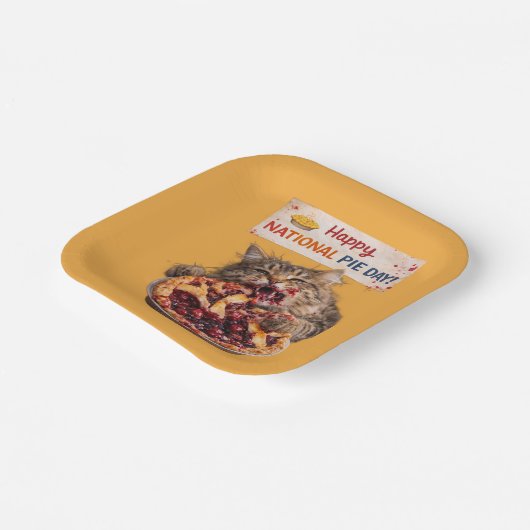 National Pie Day Cat Plates Pappteller (Gewinkelt)