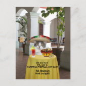 National Tortilla Chip Day Funny Cat Postkarte (Vorderseite)