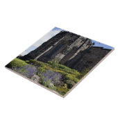 National War Memorial, Edinburgh Fliese (Seite)