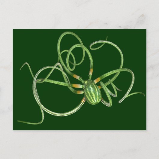 National Watermelon Day Octopus Postkarte (Vorderseite)