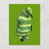 National Watermelon Day Penguin Postkarte (Vorderseite)