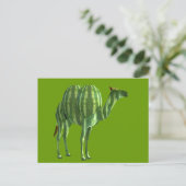 National Watermelone Day Dromedary Postkarte (Stehend Vorderseite)