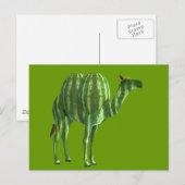 National Watermelone Day Dromedary Postkarte (Vorne/Hinten)