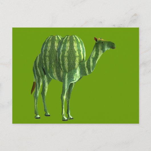 National Watermelone Day Dromedary Postkarte (Vorderseite)