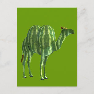 National Watermelone Day Dromedary Postkarte