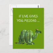 National Watermelone Day Dromedary Postkarte (Vorne/Hinten)