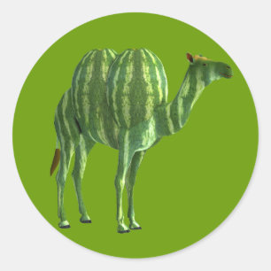 National Watermelone Day Dromedary Runder Aufkleber
