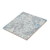 National Weather Map Fliese (Seite)