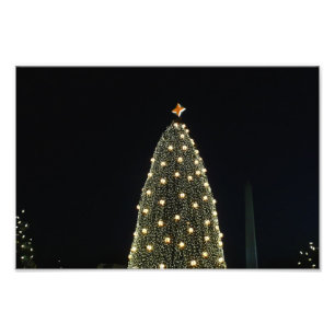 National Xmas Tree & Washington Monument at Night Fotodruck