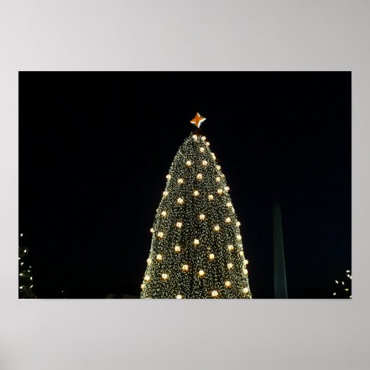 National Xmas Tree & Washington Monument at Night Poster (Vorne)
