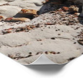 Nationaldenkmal der Großen Treppe Escalante, Utah Poster (Ecke)