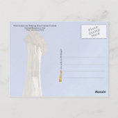 Nationaldenkmal der Großen Treppe Escalante, Utah Postkarte (Rückseite)