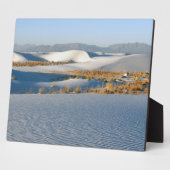 Nationaldenkmal der weißen Sandstrände, transversa Fotoplatte (Seite)