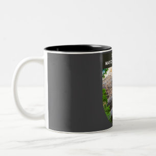 Nationaldenkmal Dinosaur Zweifarbige Tasse
