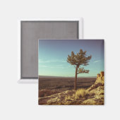 Nationaldenkmal El Malpais Magnet (Vorderseite/Rückseite)