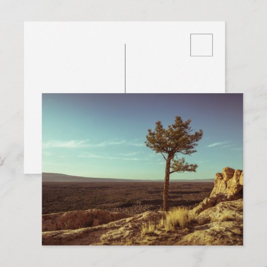 Nationaldenkmal El Malpais Postkarte (Vorne/Hinten)