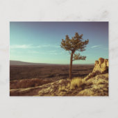 Nationaldenkmal El Malpais Postkarte (Vorderseite)