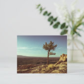 Nationaldenkmal El Malpais Postkarte (Stehend Vorderseite)