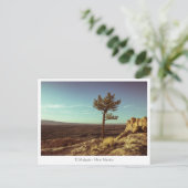 Nationaldenkmal El Malpais Postkarte (Stehend Vorderseite)