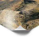 Nationaldenkmal Grand Canyon-Parashant, 2 Fotodruck (Ecke)