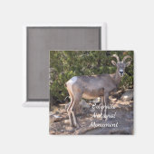 Nationaldenkmal von Colorado Magnet (Vorderseite/Rückseite)