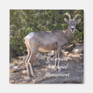 Nationaldenkmal von Colorado Magnet