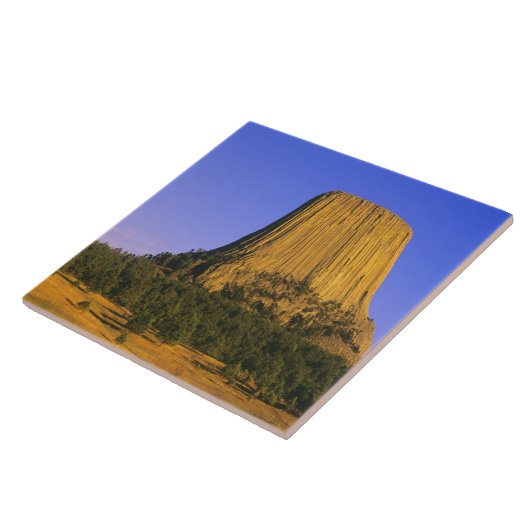 Nationaldenkmal von Devils Tower in Wyoming Fliese (Seite)