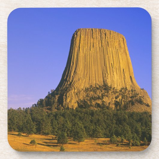Nationaldenkmal von Devils Tower in Wyoming Getränkeuntersetzer (Vorderseite)