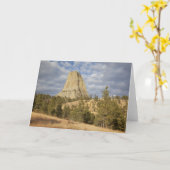 Nationaldenkmal von Devils Tower Karte (Gelbe Blume)