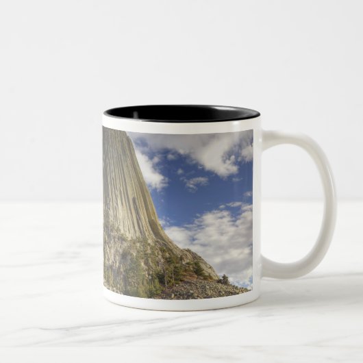 Nationaldenkmal von Devils Tower Zweifarbige Tasse (Rechts)