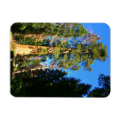 Nationaldenkmal von Riesengebirge Magnet (Horizontal)