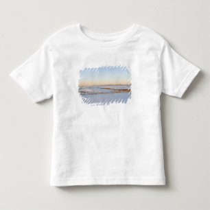 Nationaldenkmal weißer Sand, transversale Dünen Kleinkind T-shirt