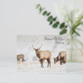 Nationale Elchhütte Wyoming Postcard Postkarte (Stehend Vorderseite)