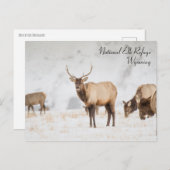 Nationale Elchhütte Wyoming Postcard Postkarte (Vorne/Hinten)