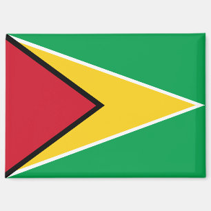 Nationale Flagge des Guyana-Rectangle-Magneten Magnet