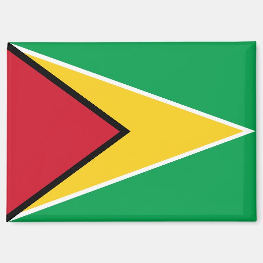 Nationale Flagge des Guyana-Rectangle-Magneten Magnet (Vorderseite)