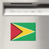 Nationale Flagge des Guyana-Rectangle-Magneten Magnet (In Situ (Geschirrspüler))