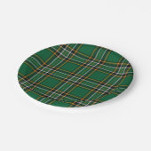 Nationale Karierte Papierplatte Irlands Pappteller (Schrägansicht)