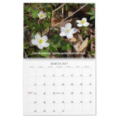 Nationale Pflanze durch die Saison Kalender (Mär 2027)
