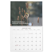 Nationale Pflanze durch die Saison Kalender (Jan 2026)